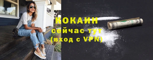амф Бородино