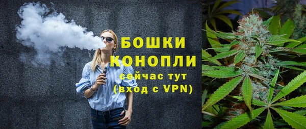 молекула духа Бронницы
