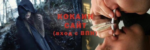 амф Бородино