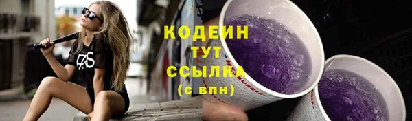молекула духа Бронницы