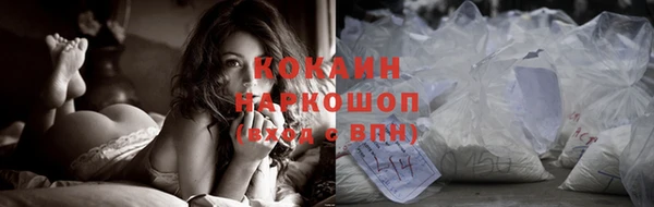 молекула духа Бронницы