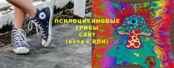 молекула духа Бронницы