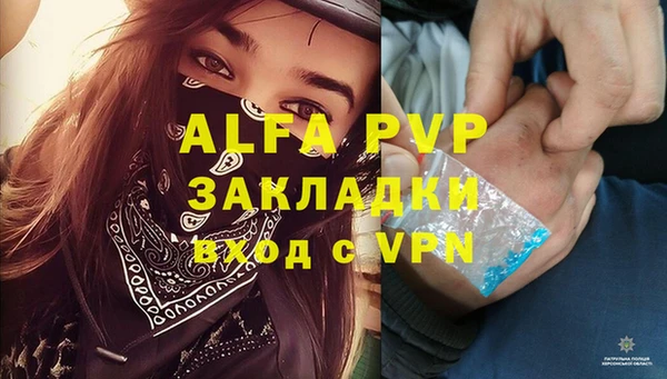 амф Бородино