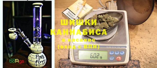 молекула духа Бронницы