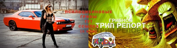 молекула духа Бронницы