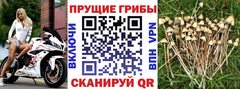 ссылка на мегу ССЫЛКА  Юрга  Галлюциногенные грибы прущие грибы 